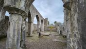 PICTURES/Askeaton Village - Desmond Castle & Franciscan Friary/t_G Phone (12).jpg